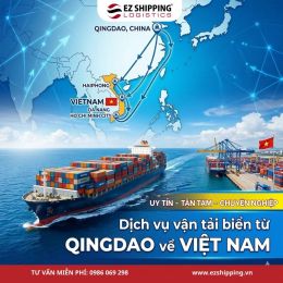 CƯỚC VẬN TẢI BIỂN TỪ QINGDAO VỀ VIỆT NAM MỚI NHẤT