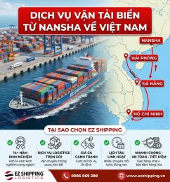 CƯỚC VẬN TẢI BIỂN TỪ NANSHA VỀ VIỆT NAM MỚI NHẤT