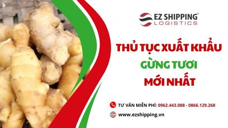 THỦ TỤC XUẤT KHẨU GỪNG TƯƠI MỚI NHẤT