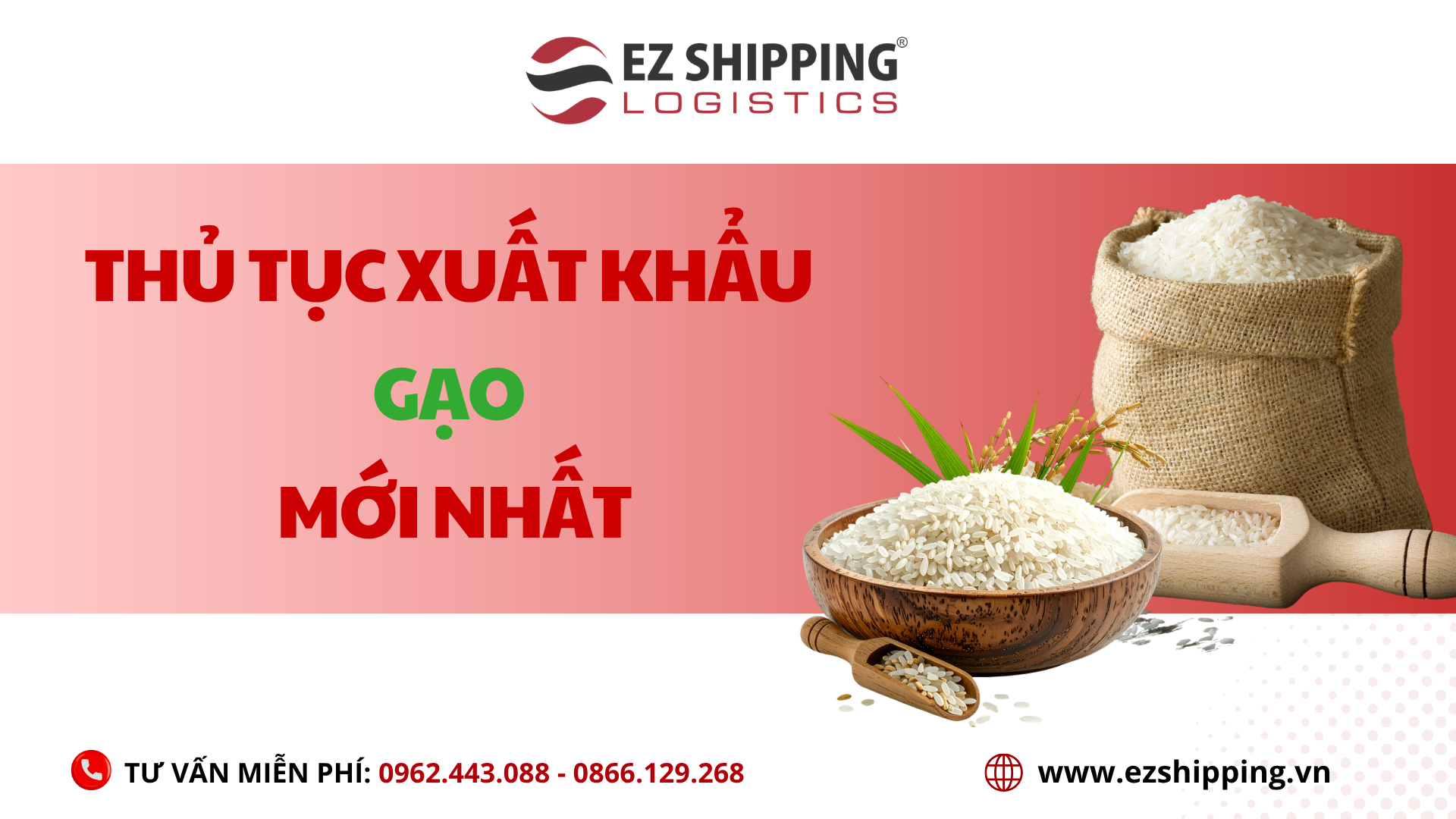 THỦ TỤC XUẤT KHẨU GẠO MỚI NHẤT