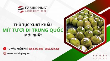 THỦ TỤC XUẤT KHẨU MÍT TƯƠI ĐI TRUNG QUỐC MỚI NHẤT