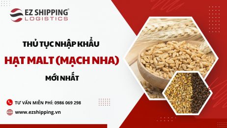 THỦ TỤC NHẬP KHẨU HẠT MALT (MẠCH NHA) MỚI NHẤT
