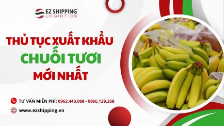 THỦ TỤC XUẤT KHẨU CHUỐI TƯƠI MỚI NHẤT