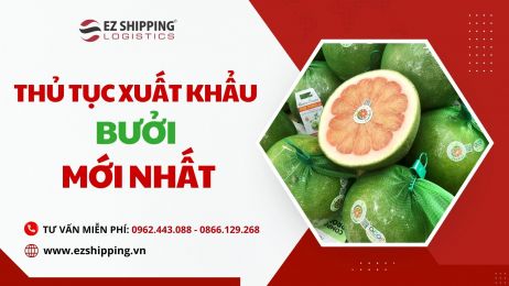 THỦ TỤC XUẤT KHẨU BƯỞI MỚI NHẤT