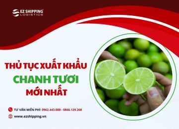 THỦ TỤC XUẤT KHẨU CHANH TƯƠI MỚI NHẤT