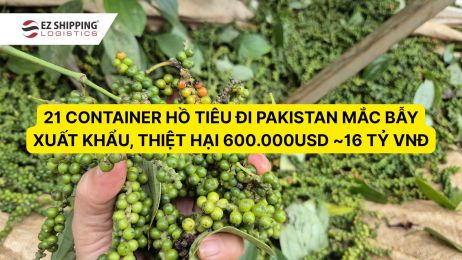 21 container hồ tiêu bị lừa đảo mất gần 16 tỉ đồng tại Pakistan