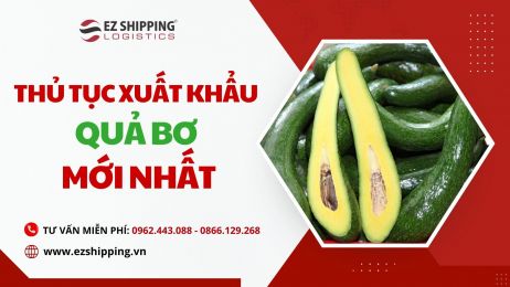 THỦ TỤC XUẤT KHẨU QUẢ BƠ MỚI NHẤT