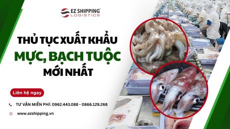 THỦ TỤC XUẤT KHẨU MỰC, BẠCH TUỘC MỚI NHẤT