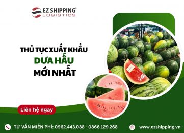 THỦ TỤC XUẤT KHẨU DƯA HẤU MỚI NHẤT