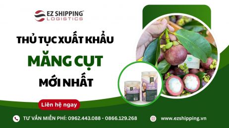 THỦ TỤC XUẤT KHẨU MĂNG CỤT MỚI NHẤT