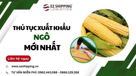 THỦ TỤC XUẤT KHẨU NGÔ MỚI NHẤT