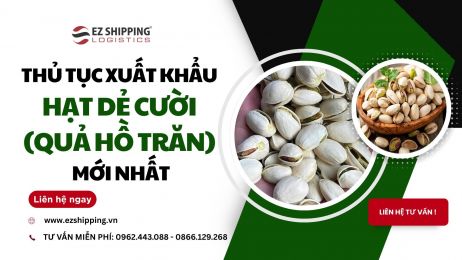 THỦ TỤC XUẤT KHẨU HẠT DẺ CƯỜI (QUẢ HỒ TRĂN) MỚI NHẤT