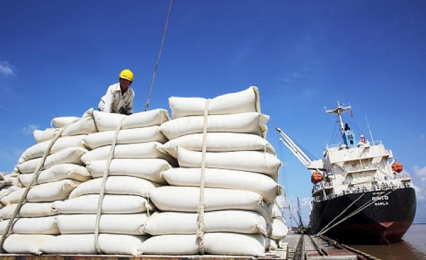 VIỆT NAM TRÚNG THẦU CUNG CẤP GẠO TRẮNG CHO PHILIPPINES