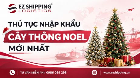THỦ TỤC NHẬP KHẨU CÂY THÔNG NOEL MỚI NHẤT
