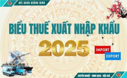 BIỂU THUẾ XUẤT NHẬP KHẨU 2025 FILE EXCEL