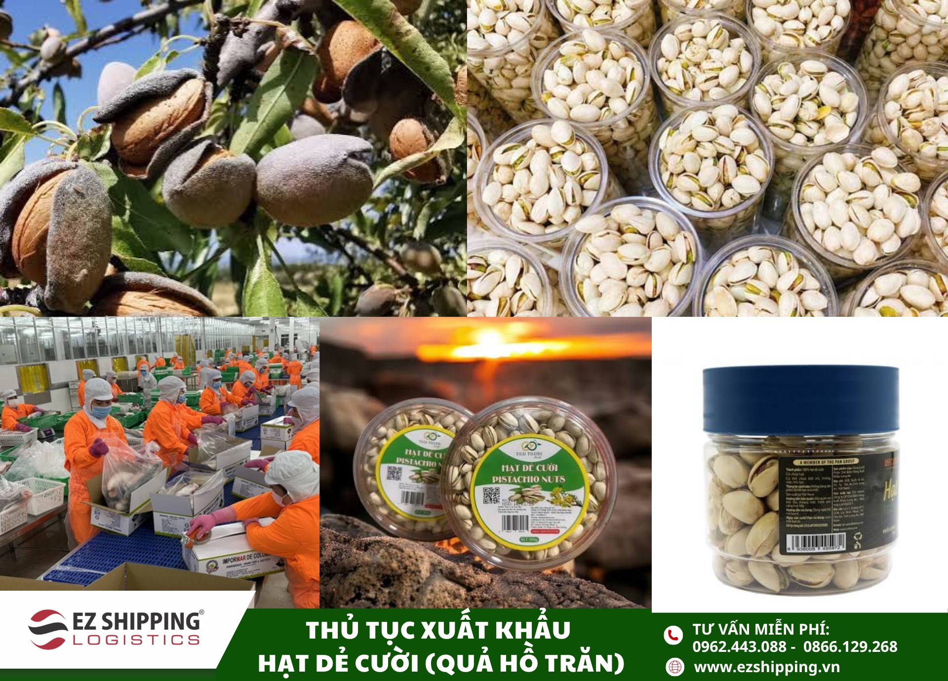 quy trình và chính sách nhập khẩu hạt dẻ cười