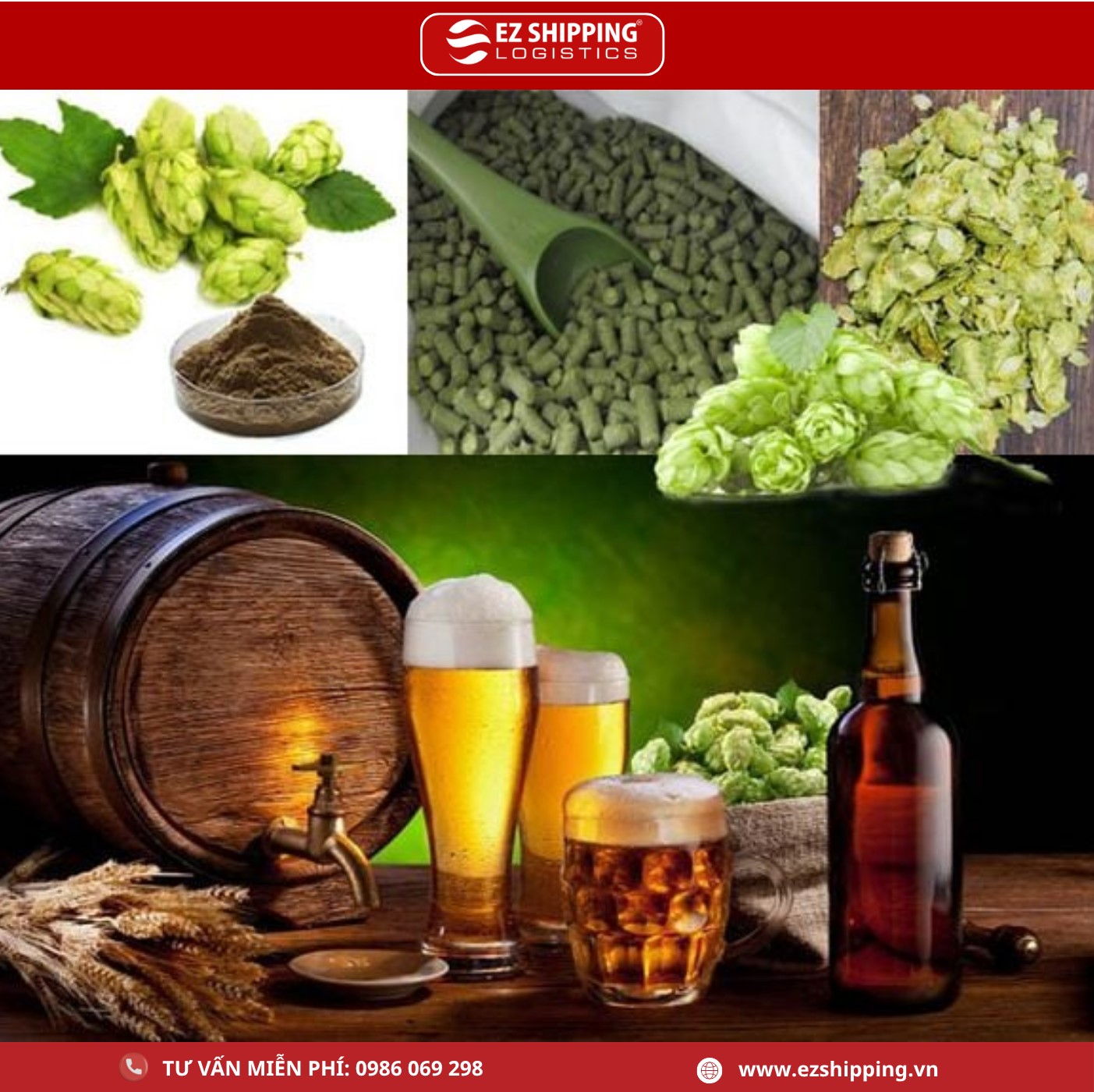 thu_tuc_nhap_khau_hoa_bia_moi_nhat_1