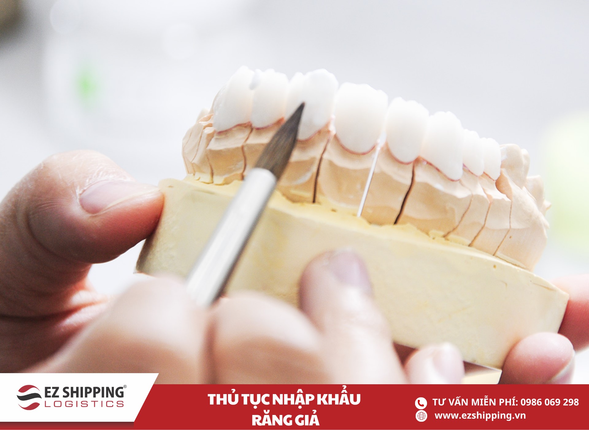 quy trình và chính sách nhập khẩu răng giả
