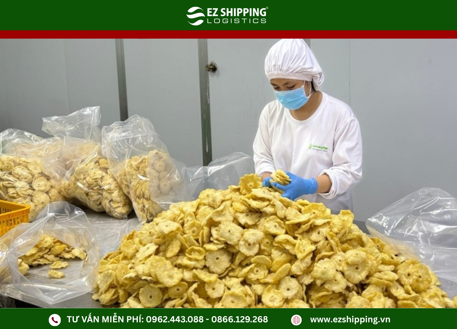 ma_hs_code_trai_cay_say_kho