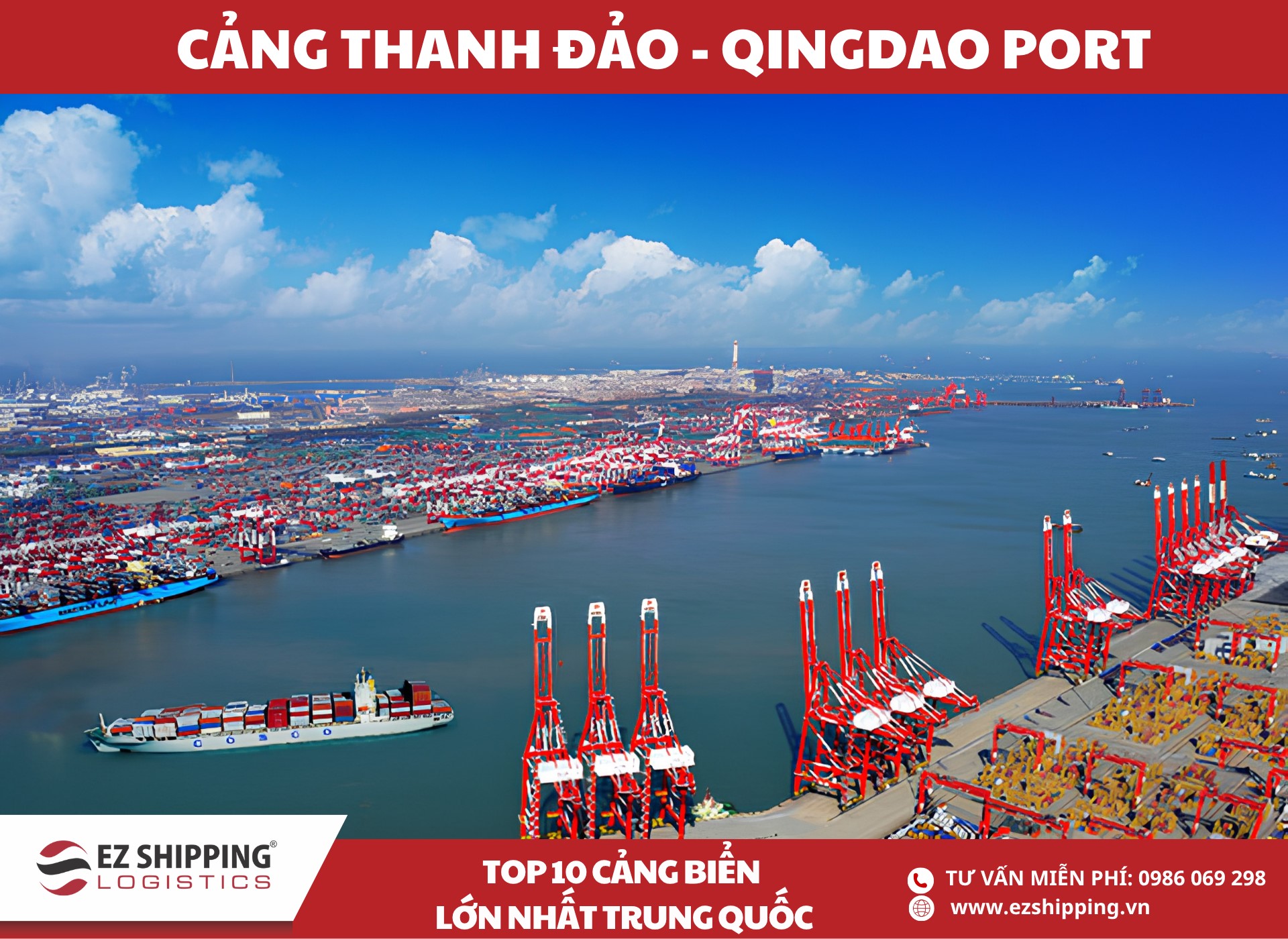 cang thanh dao qingdao port