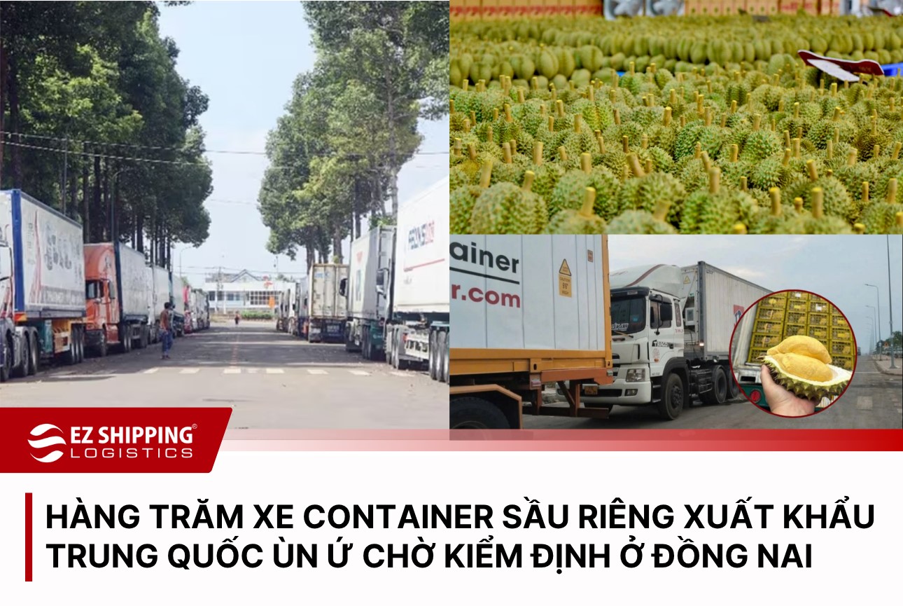 hang-tram-xe-container-sau-rieng-xuat-khau-trung-quoc-un-u-cho-kiem-dinh-o-dong-nai