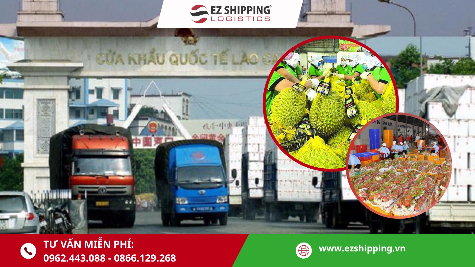 thu-tuc-dang-ki-gacc-theo-lenh-280-3