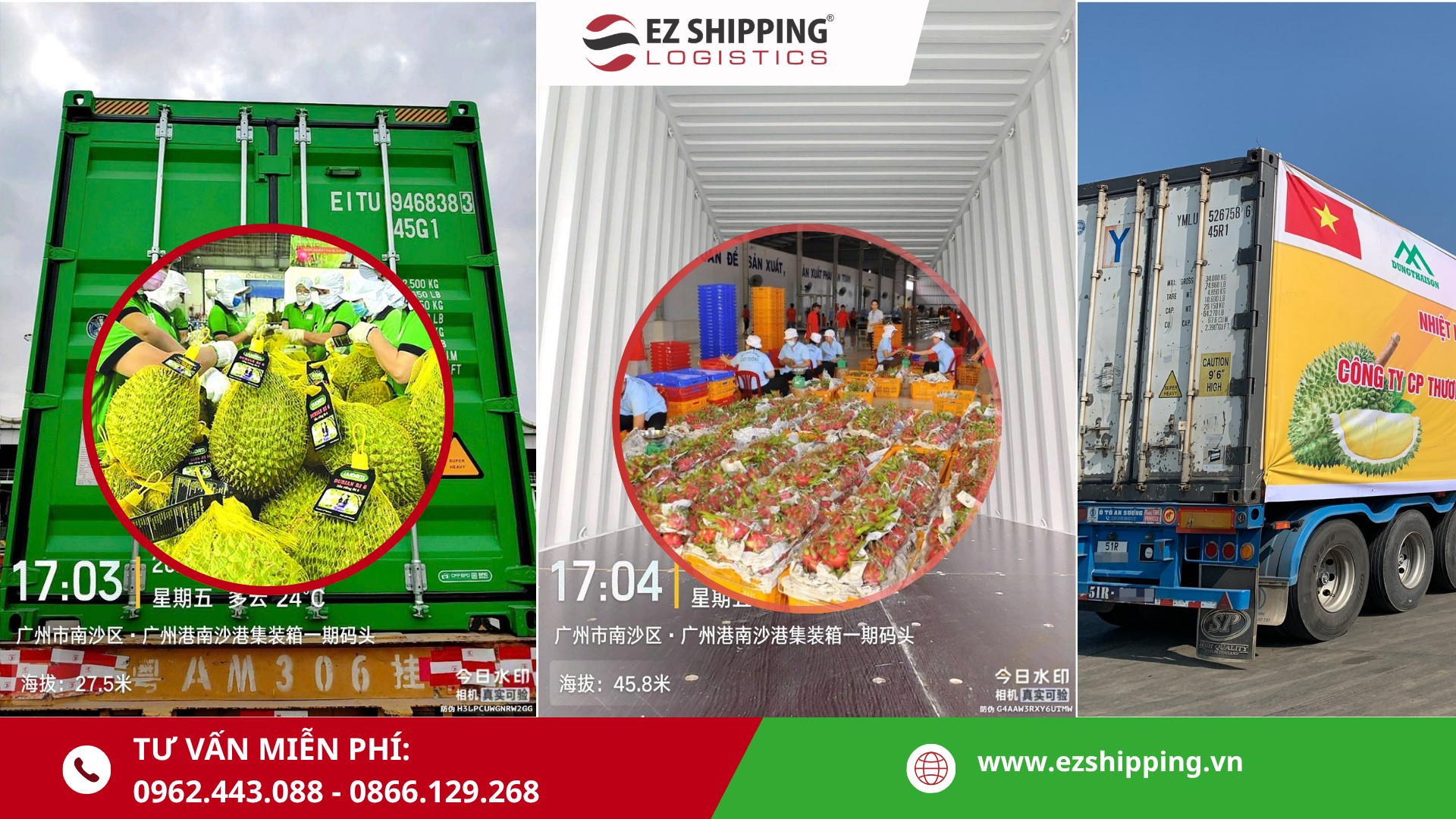 thu-tuc-dang-ki-gacc-theo-lenh-280-4