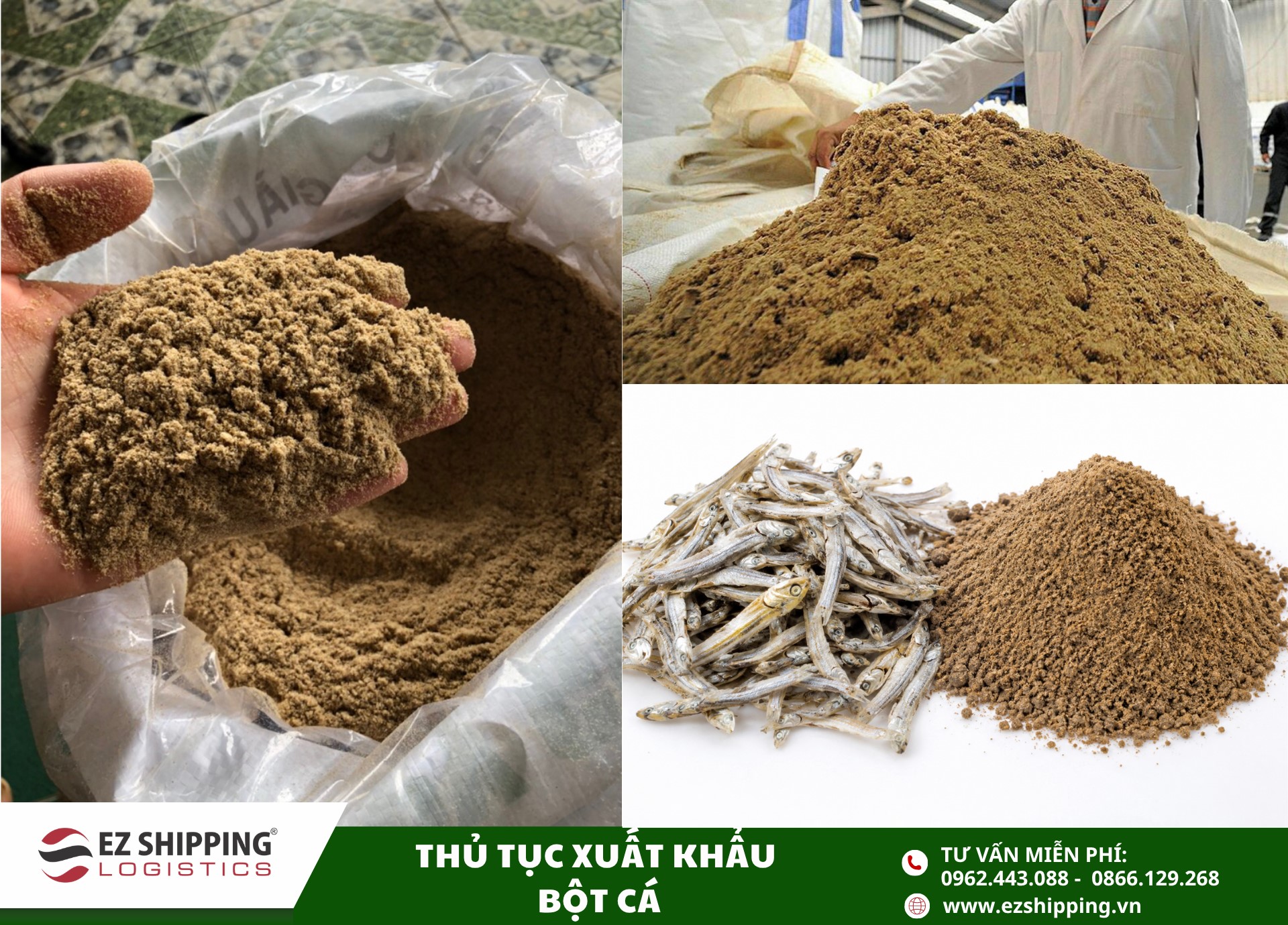 quy trinh và chinh sach xuat khau bot ca