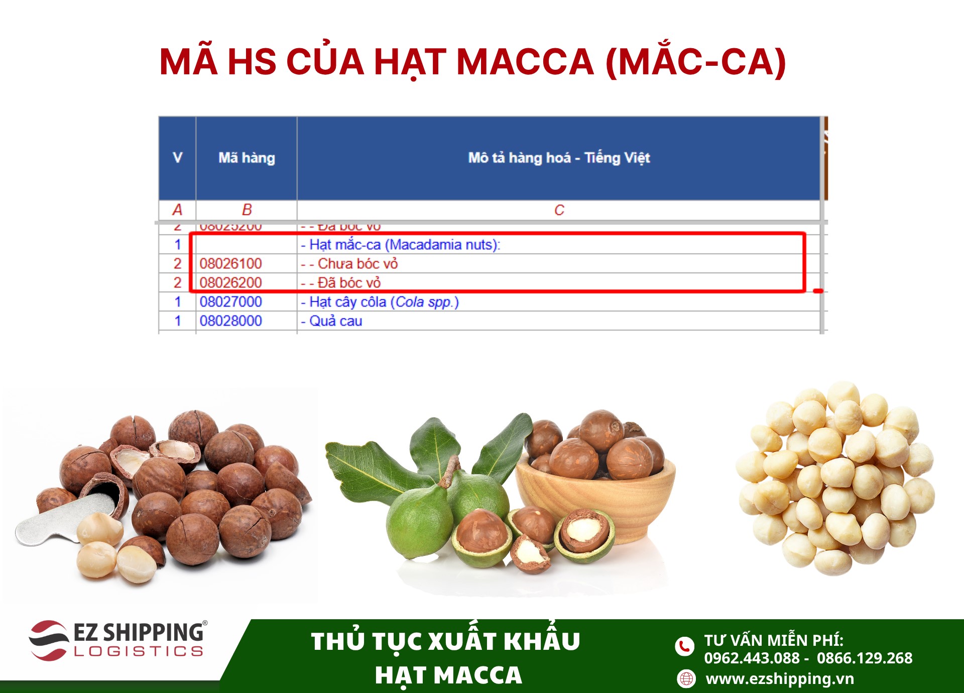 mã HS code và thuế xuất khẩu hạt mắc ca