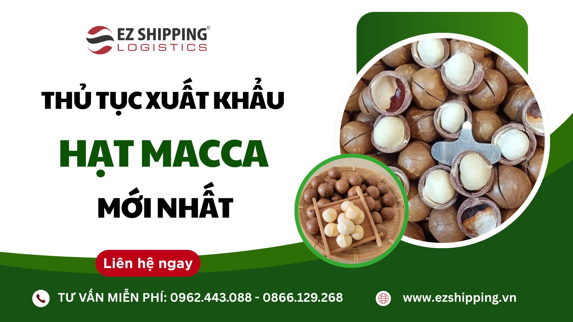 thu-tuc-xuat-khau-hat-macca