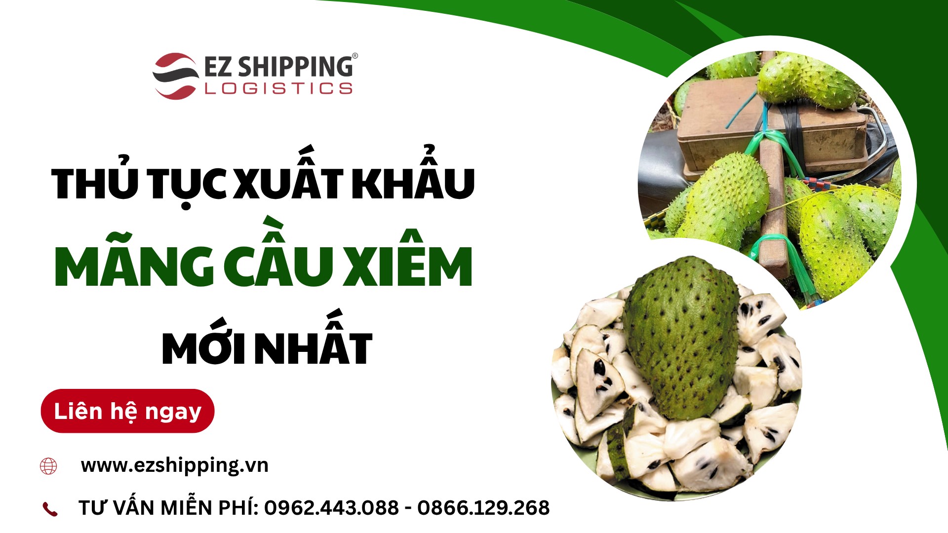 thủ tục xuất khẩu mãng cầu xiêm,