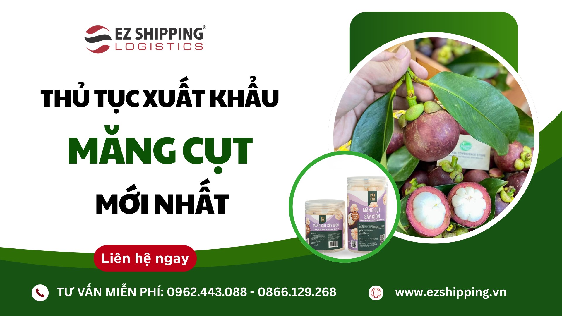 thu-tuc-xuat-khau-mang-cut