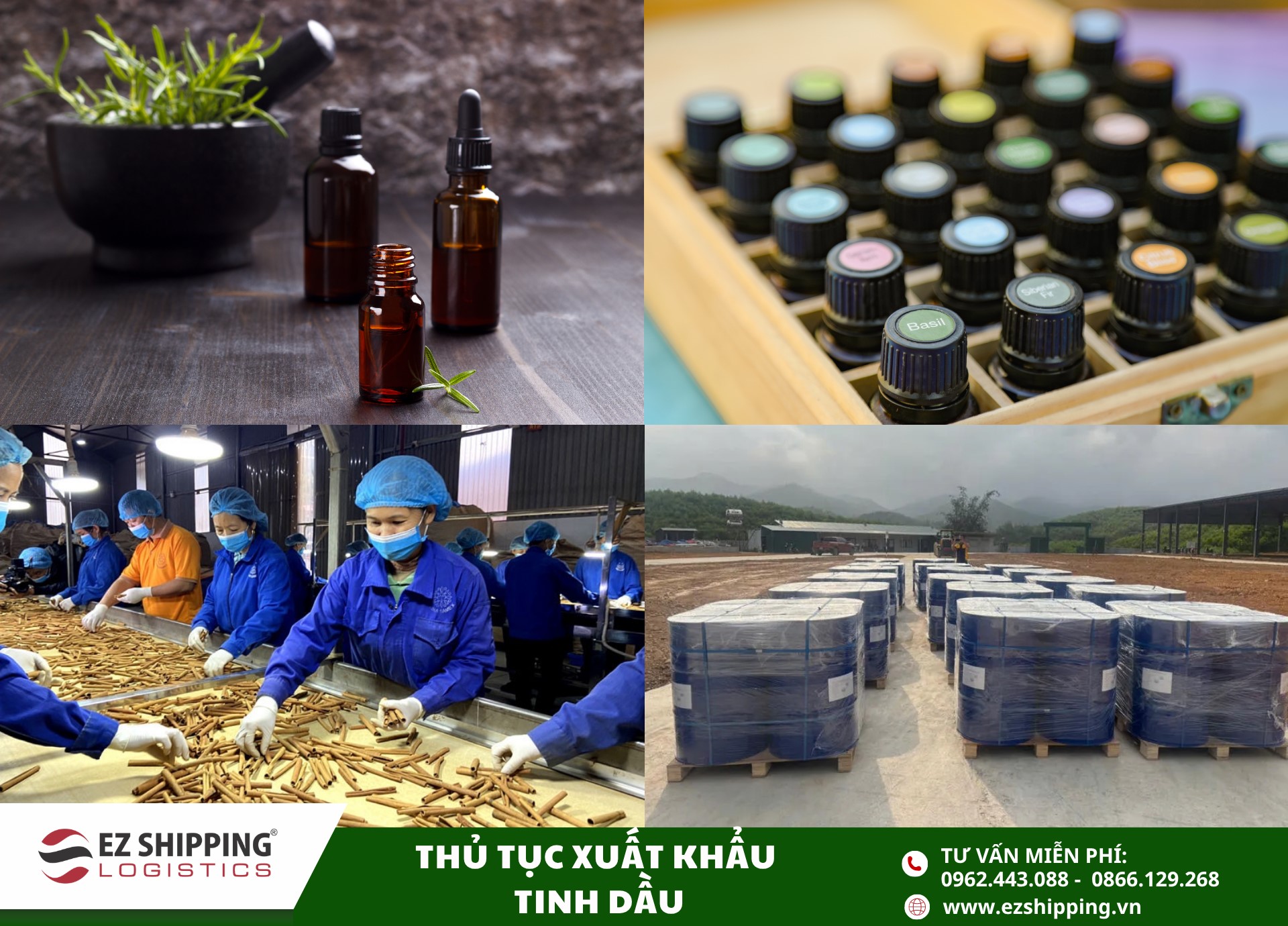 quy trình và chính sách xuất khẩu tinh dầu