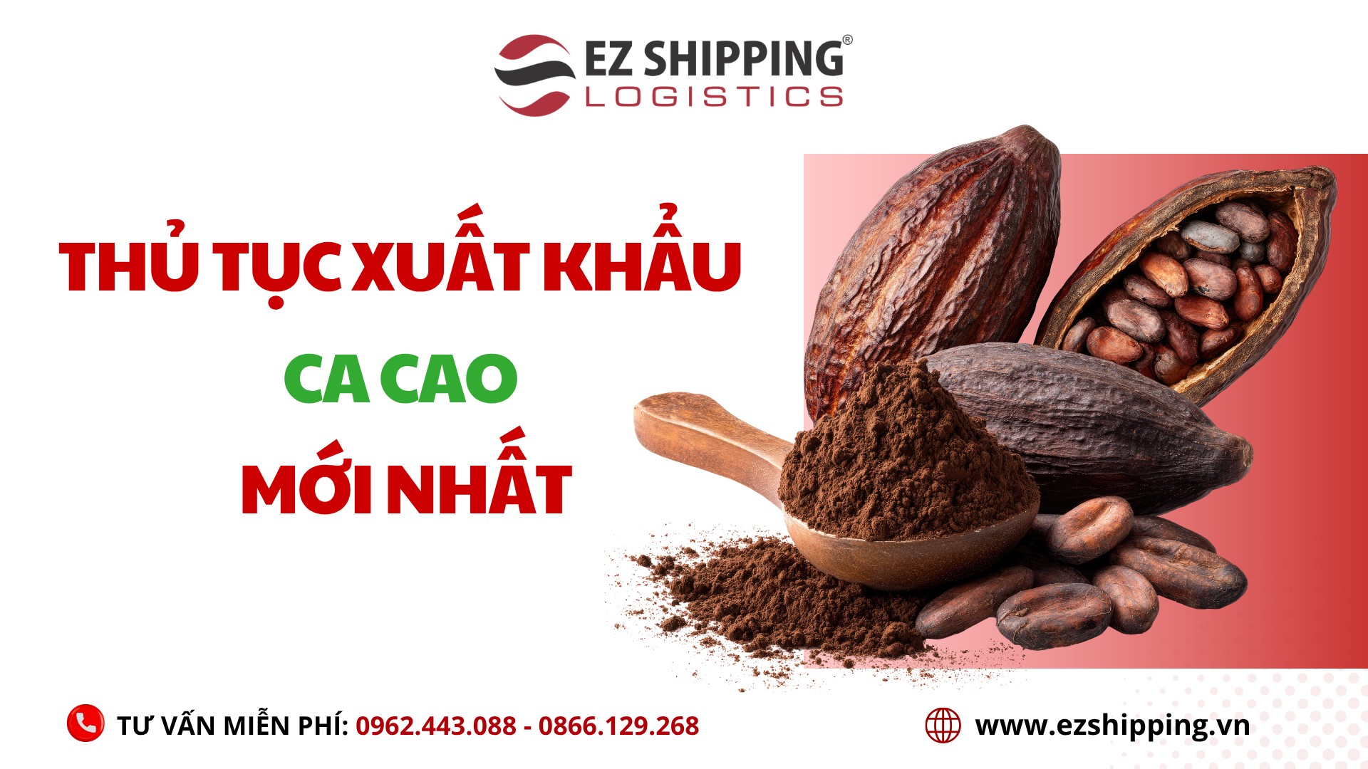 thu_tuc_xuat_khau_ca_cao_moi_nhat