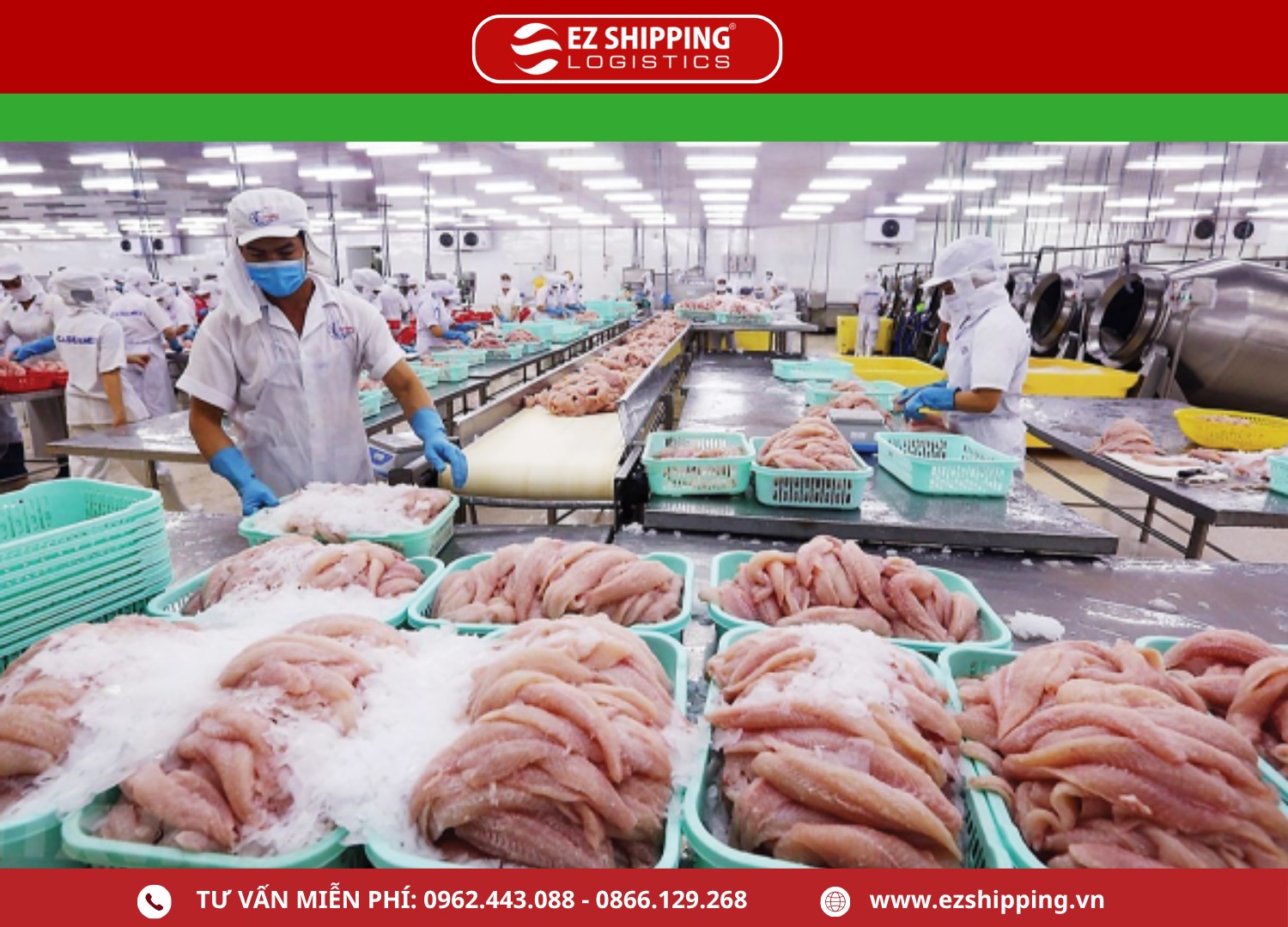 quy_trinh_xuat_khau_ca_tra_moi_nhat