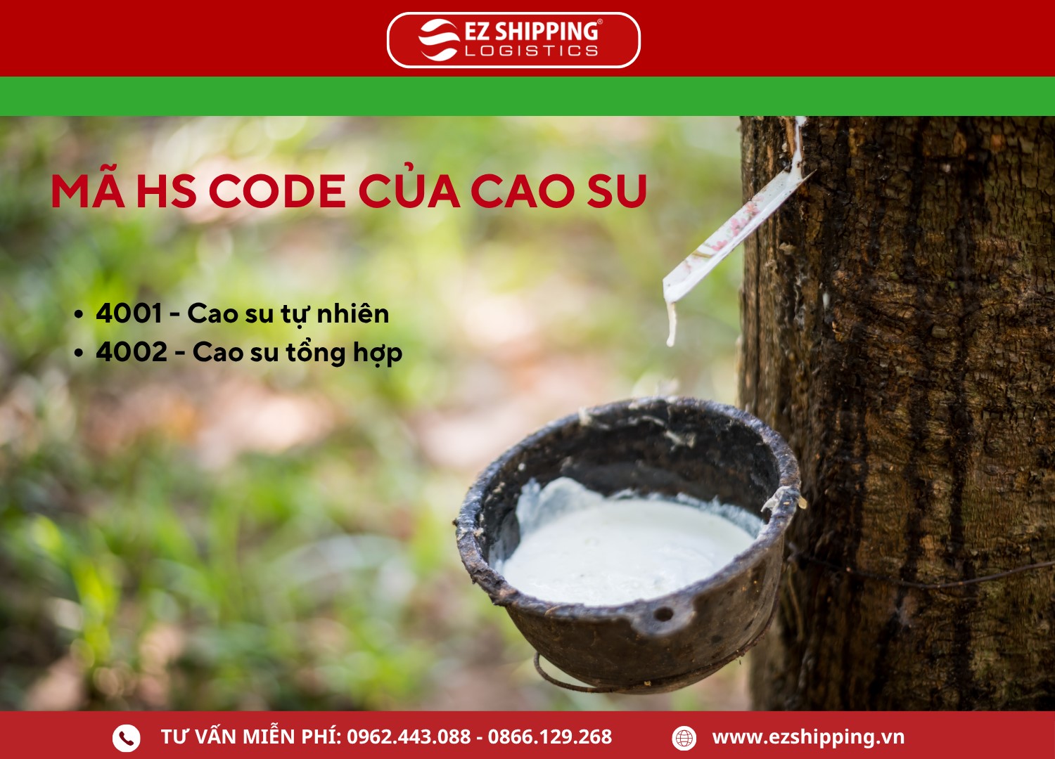 ma_hs_code_cua_cao_su