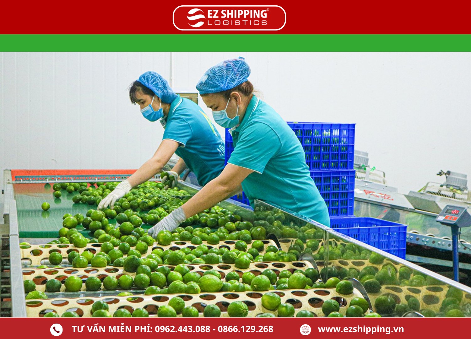 thu_tuc_xuat_khau_chanh_tuoi_moi_nhat_1