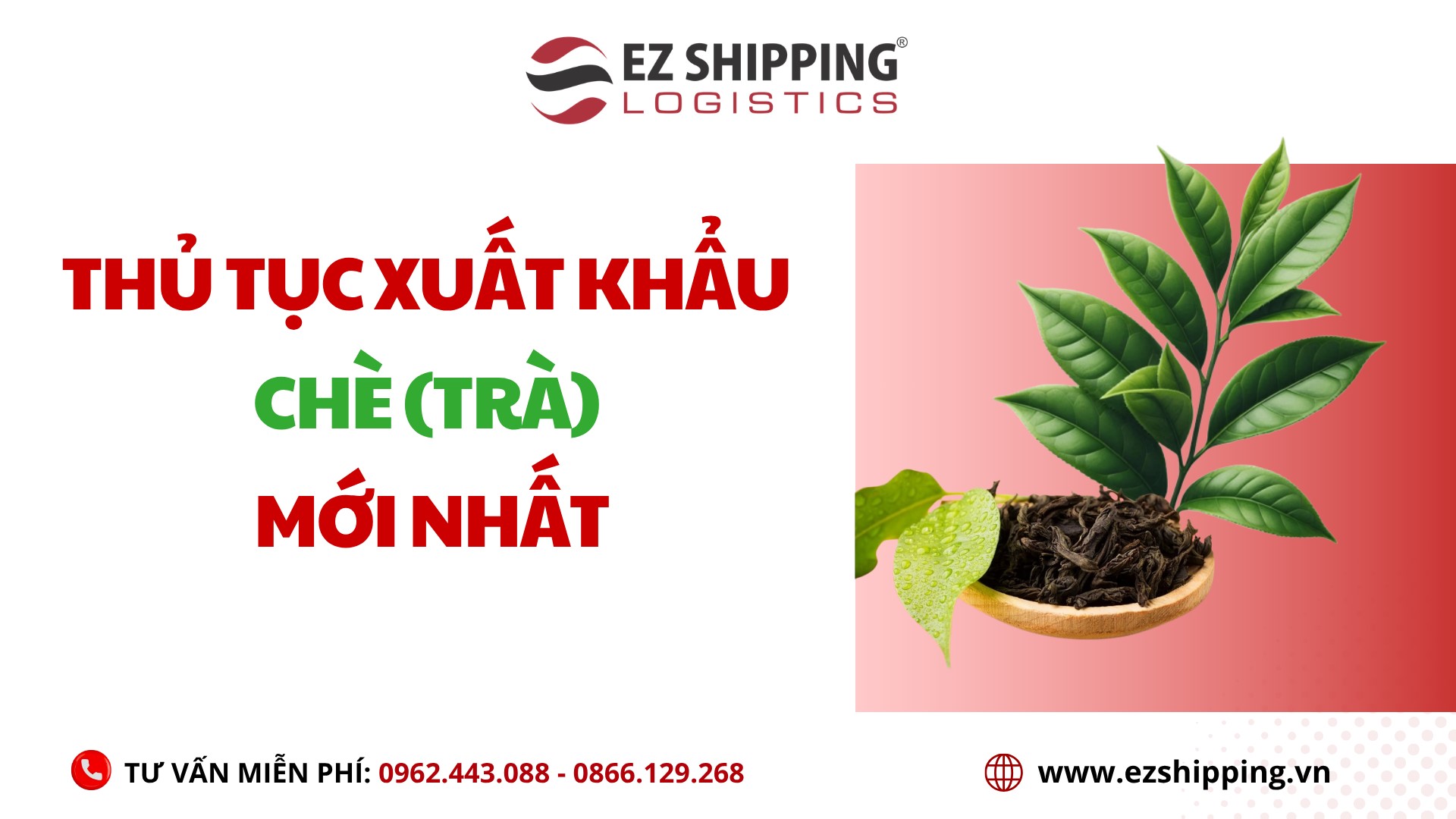 thu_tuc_xuat_khau_che_tra_moi_nhat