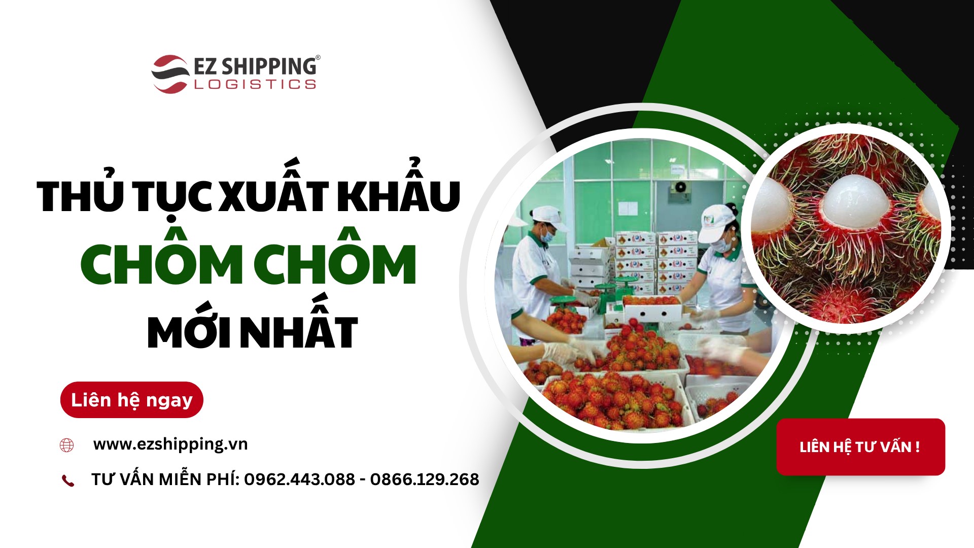 thu_tuc_xuat_khau_chom_chom_moi_nhat