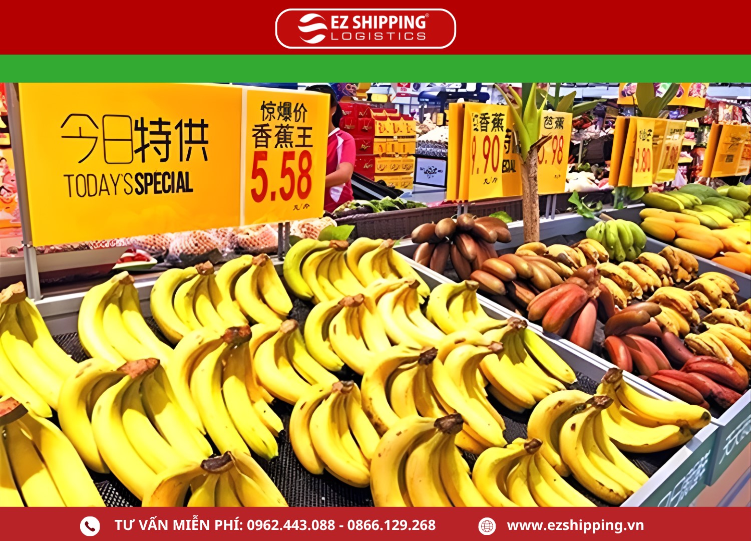 thu_tuc_xuat_khau_chuoi_tuoi_moi_nhat_1