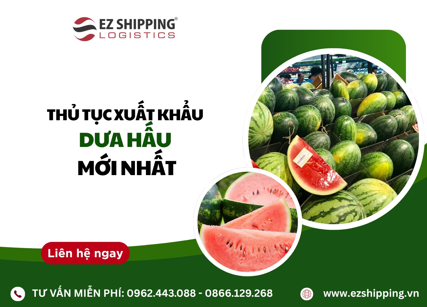 thu_tuc_xuat_khau_dua_hau_moi_nhat_1