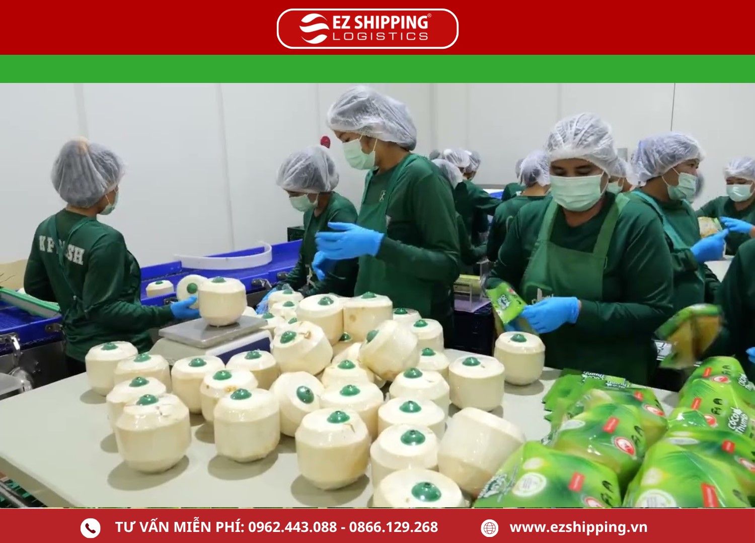 thu_tuc_xuat_khau_dua_tuoi_moi_nhat._2