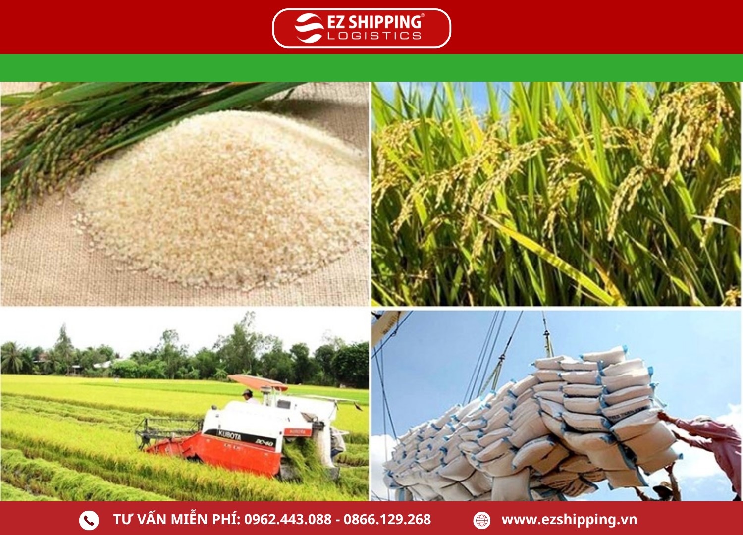 thu_tuc_xuat_khau_gao_moi_nhat_2