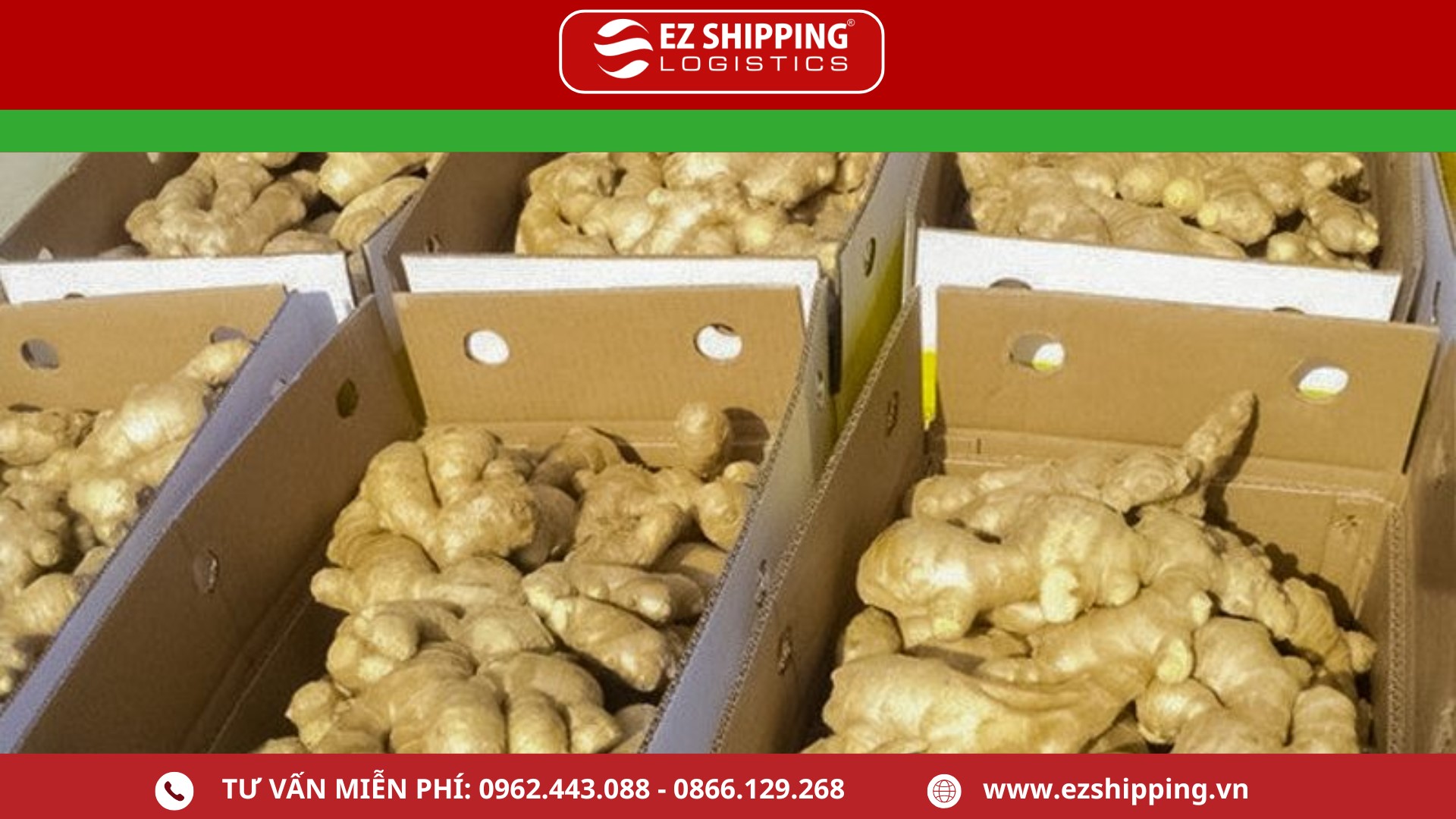 thu_tuc_xuat_khau_gung_tuoi_moi_nhat_2