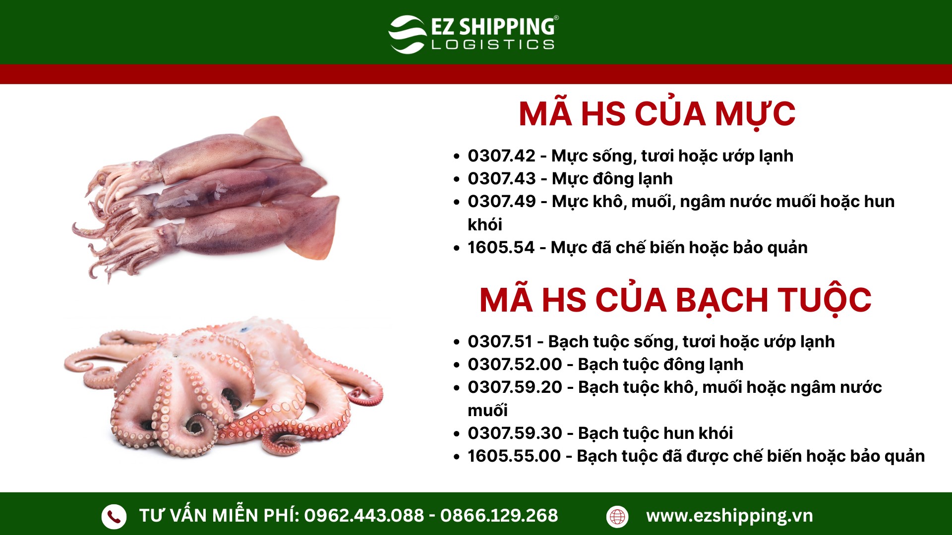ma-hs-code-cua-muc-bach-tuoc