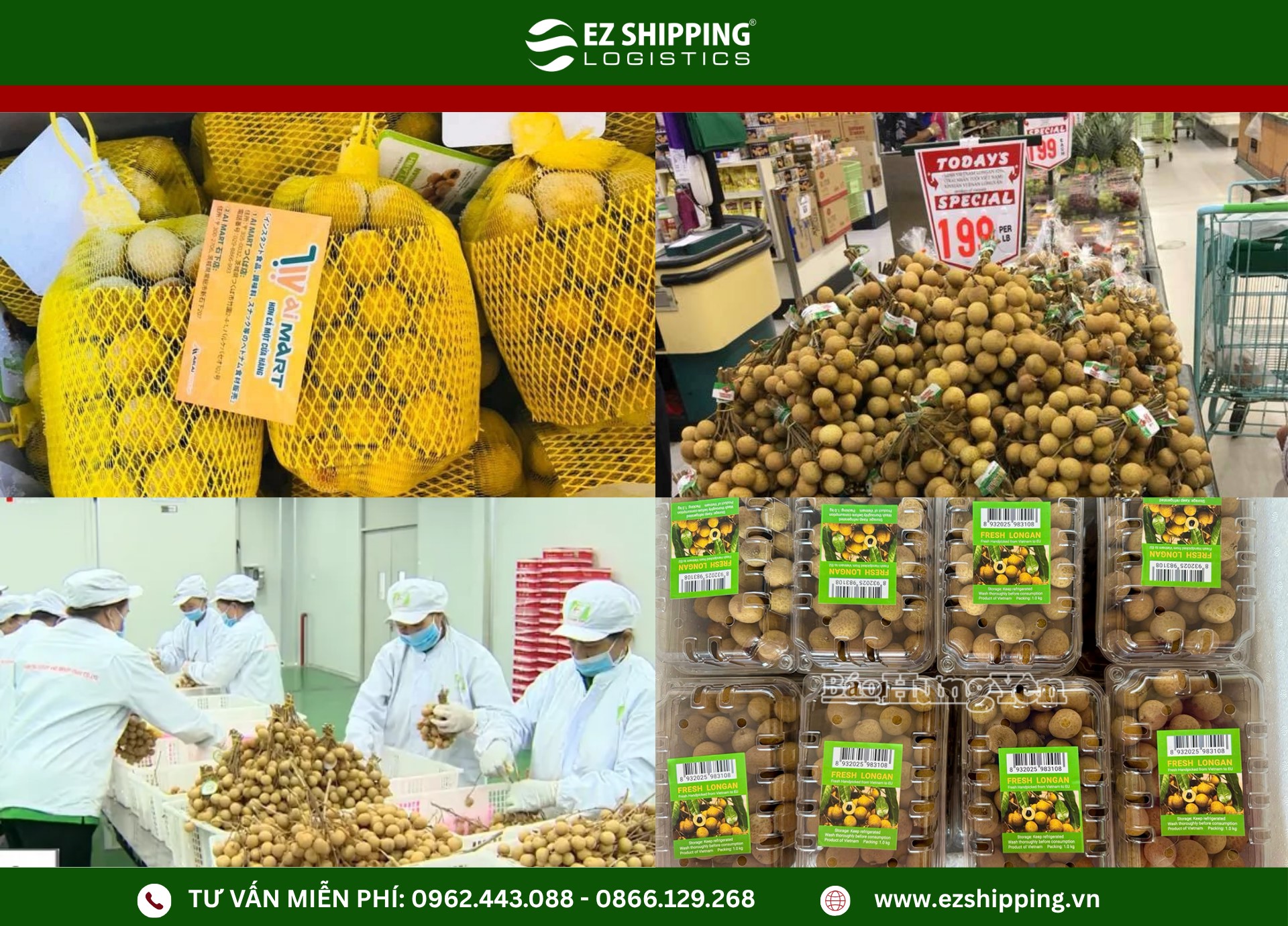 ho_so_hai_quan_khi_xuat_khau_nhan