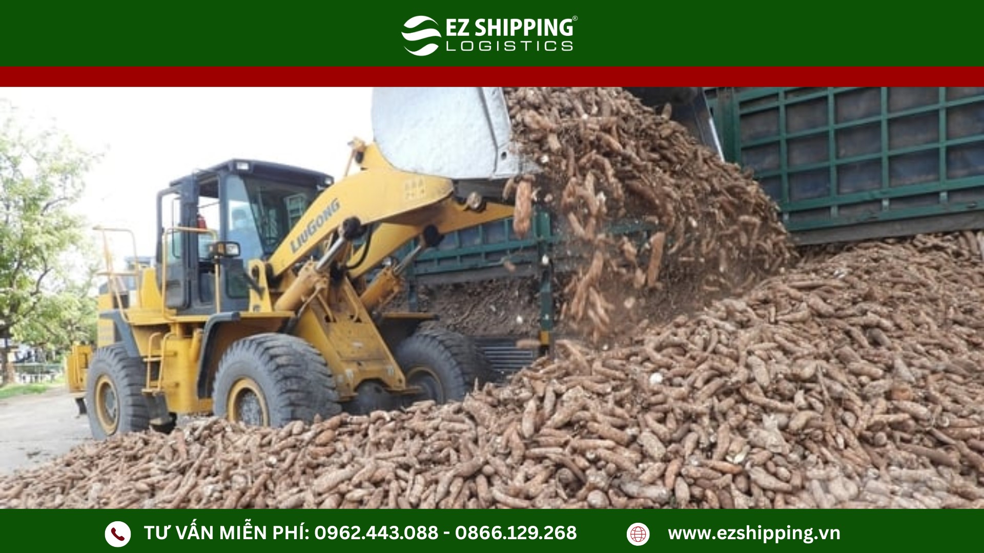 ho-so-hai-quan_xuat_khau_san_lat_tinh_bot_san