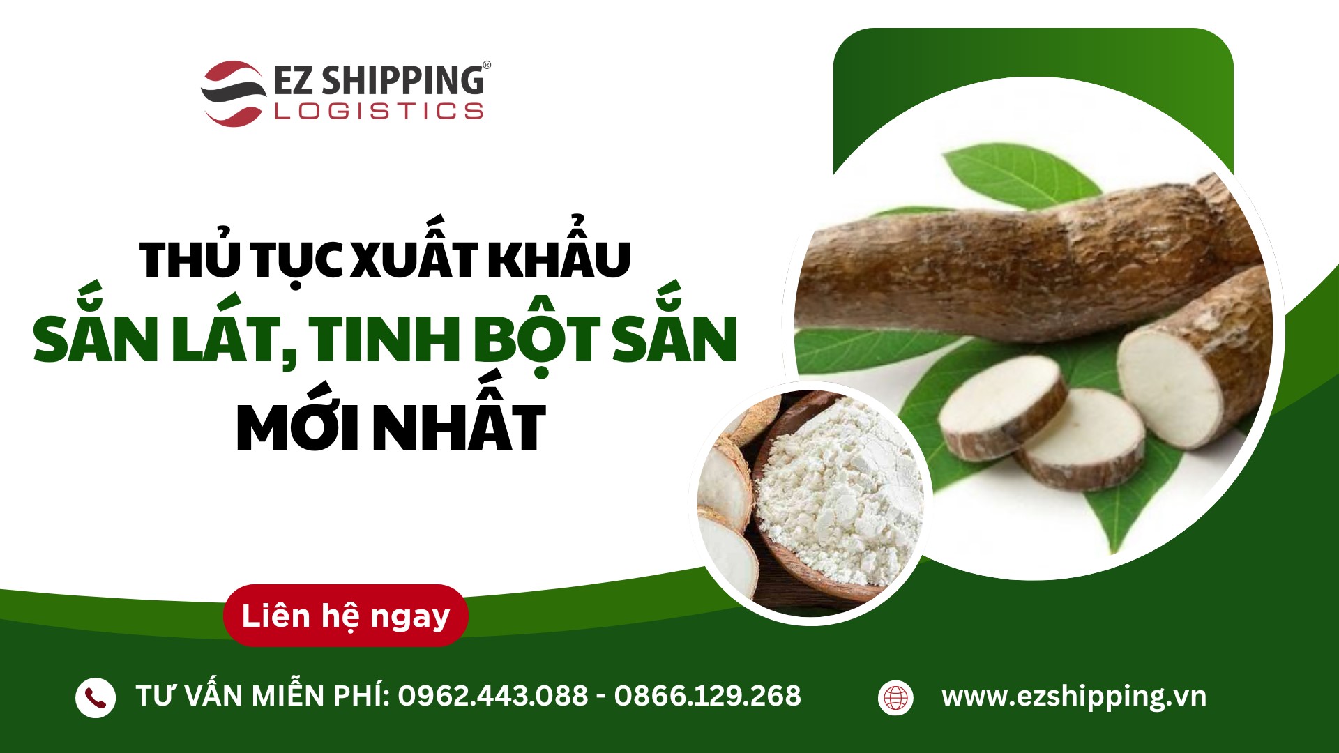 thu_tuc_xuat_khau_san_lat_tinh_bot_san_moi_nhat