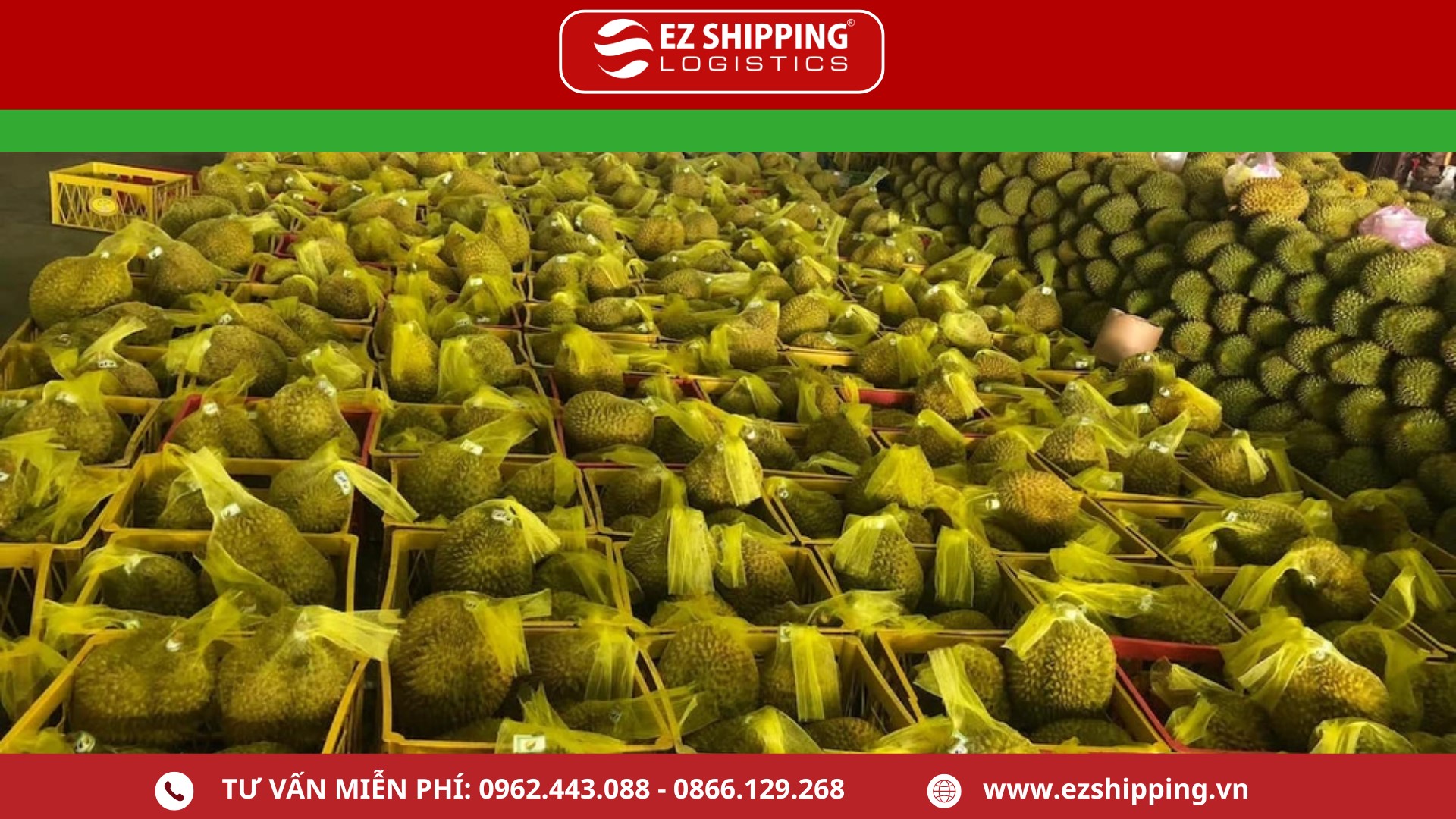 quy_trinh_xua_khau_sau_rieng