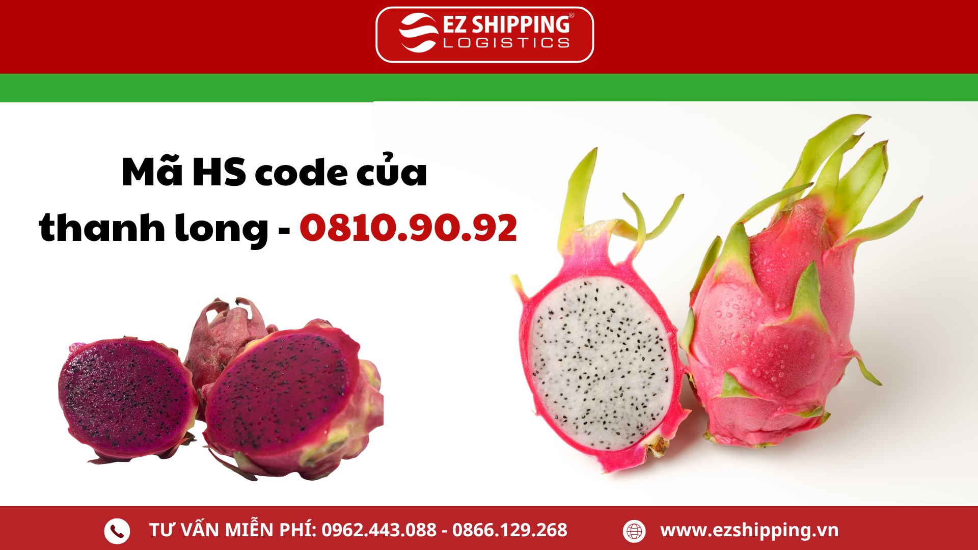 ma_HS_code_cua_thanh_long_moi_nhat